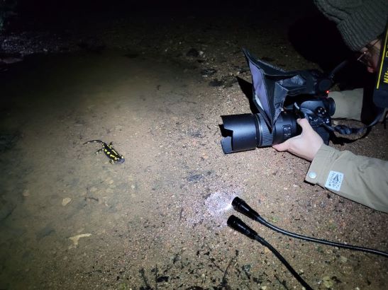 Sortie « spéciale » photographie nature à la retenue d’eau du Pont du Roi.